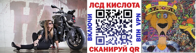 как найти закладки  Камызяк  kraken онион  Марки NBOMe 1,8мг 