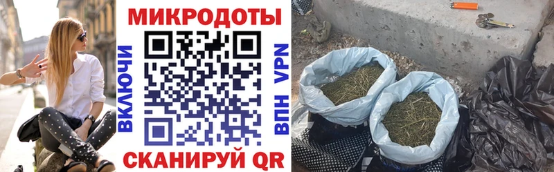 Псилоцибиновые грибы Cubensis  наркошоп  Камызяк 